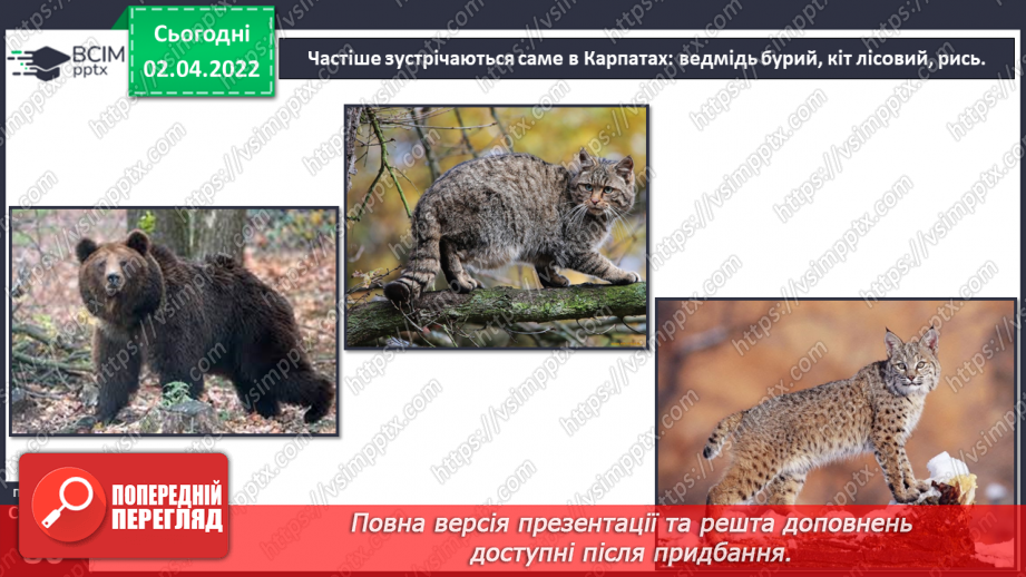 №082 - Українські Карпати19 №082 - Українські Карпати19