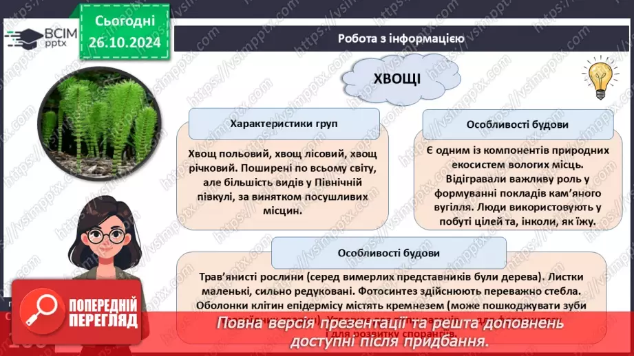 №30 - Вищі спорові рослини.12
