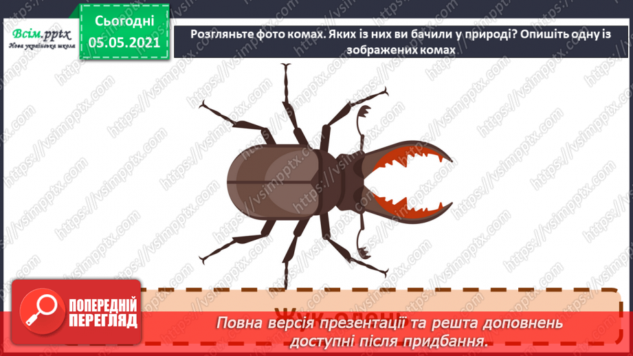 №041 - Різноманітність тварин у природі. Комахи10 №041 - Різноманітність тварин у природі. Комахи10