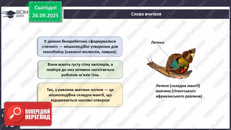 №018 - Дихання як властивість живого. Органи дихання в безхребетних тварин. Еволюція дихальної системи хордових.17 №018 - Дихання як властивість живого. Органи дихання в безхребетних тварин. Еволюція дихальної системи хордових.17