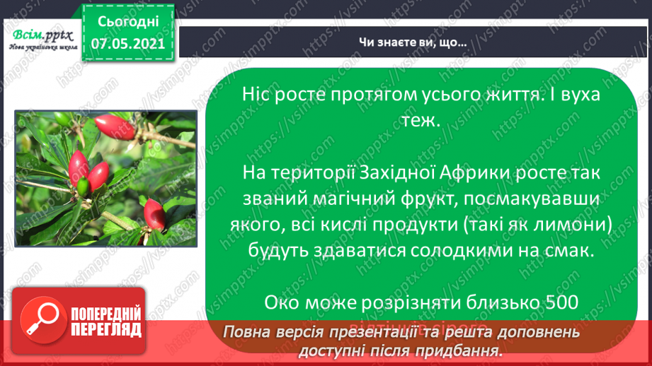 №062 - Збереження органів чуття. Створення плаката на тему «Органи чуття мої помічники».23 №062 - Збереження органів чуття. Створення плаката на тему «Органи чуття мої помічники».23