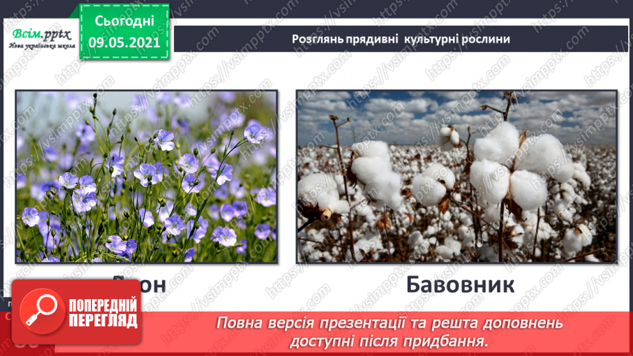 №053 - На які групи поділяють культурні рослини?7 №053 - На які групи поділяють культурні рослини?7