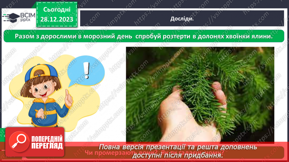 №052 - Які бувають рослини28 №052 - Які бувають рослини28