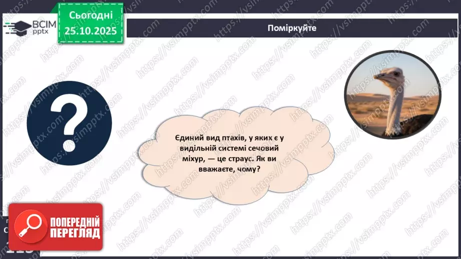 №028 - Виділення як властивість живого. Еволюція видільної системи тварин.25 №028 - Виділення як властивість живого. Еволюція видільної системи тварин.25