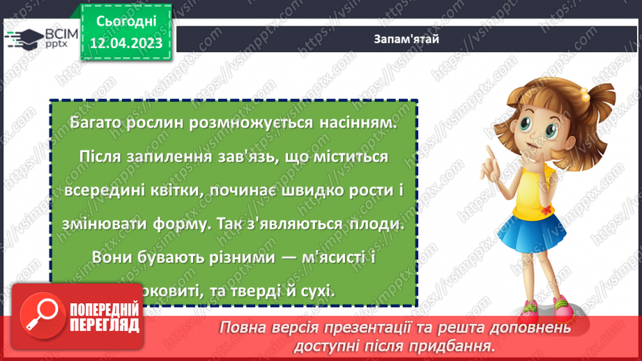 №0095 - Рослини влітку22