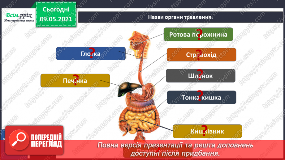 №088 - Які органи допомагають людині перетравлювати їжу?19