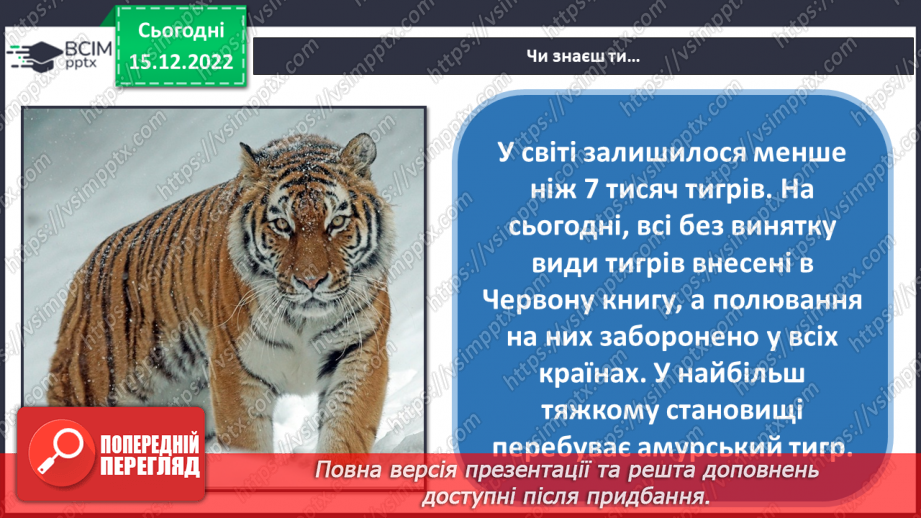 №18 - Леопардик і тиргик. Робота з папером. Згинання і складання паперу. Виготовлення леопардика або тигрика в техніці оригамі за зразком.4