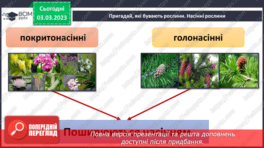 №51 - Узагальнення розділу «Клітини, бактерії, віруси, гриби, рослини і тварини».15