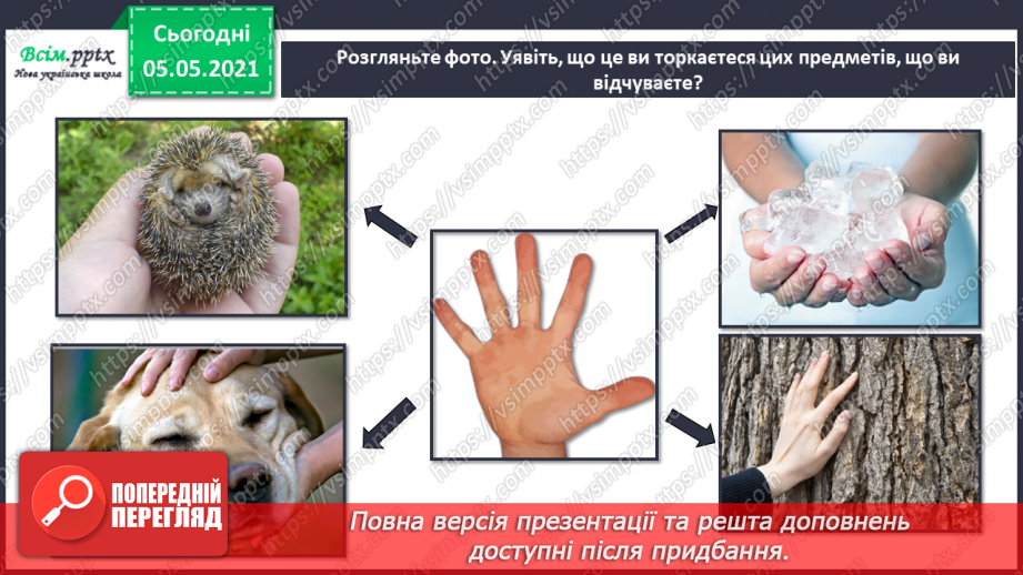 №054 - Функції шкіри.6 №054 - Функції шкіри.6