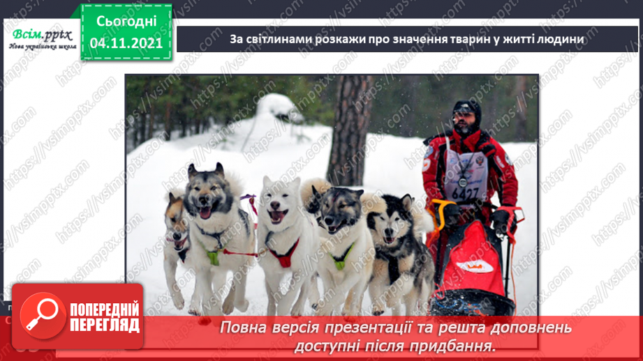 №040 - Як тварини пристосувалися добувати корм23 №040 - Як тварини пристосувалися добувати корм23