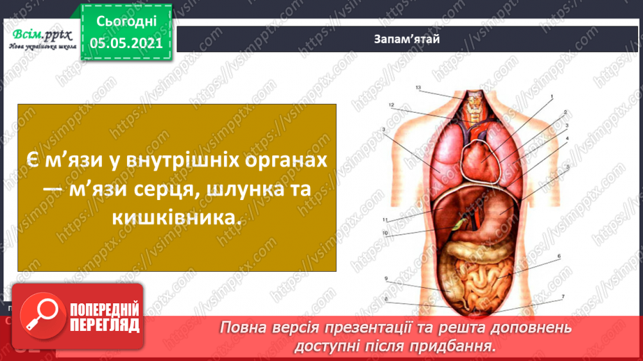 №061 - Як ти рухаєшся? Практична робота.11 №061 - Як ти рухаєшся? Практична робота.11