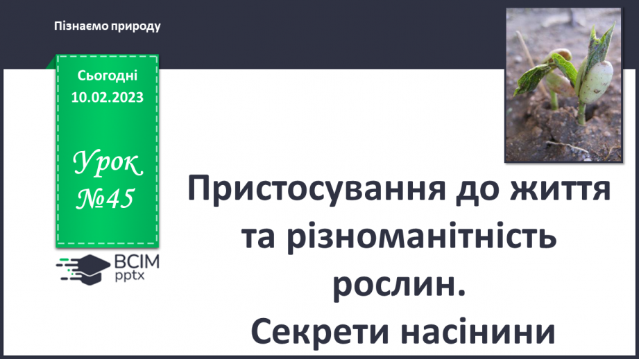 №45 - Пристосування до життя та різноманітність рослин. Секрети насінини.0
