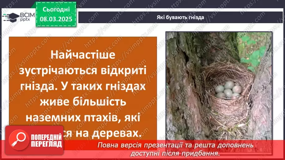 №0076 - Чому птахи в’ють гнізда16 №0076 - Чому птахи в’ють гнізда16