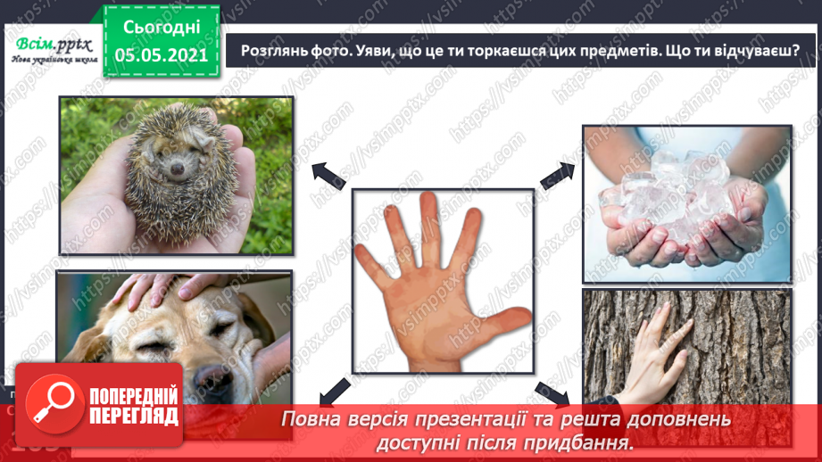 №087 - Орган дотику.5