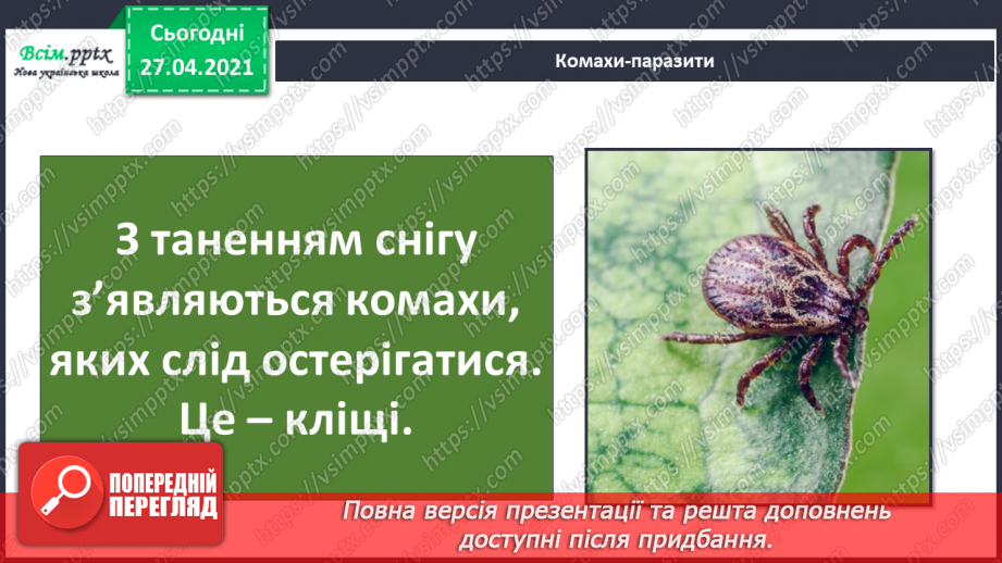 №085 - Які комахи з’являються навесні першими?18 №085 - Які комахи з’являються навесні першими?18
