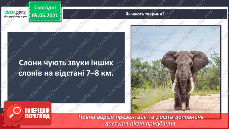 №082 - Орган слуху.18 №082 - Орган слуху.18