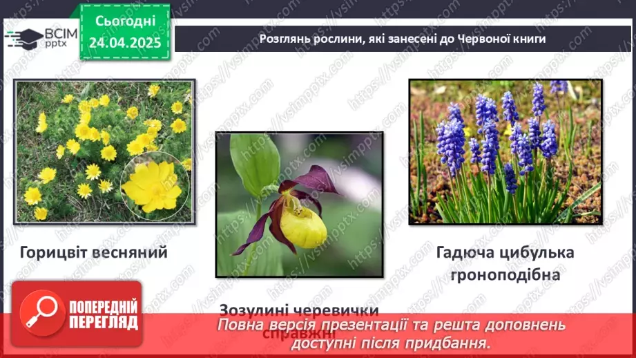 №0095 - Чому природа потребує охорони16 №0095 - Чому природа потребує охорони16
