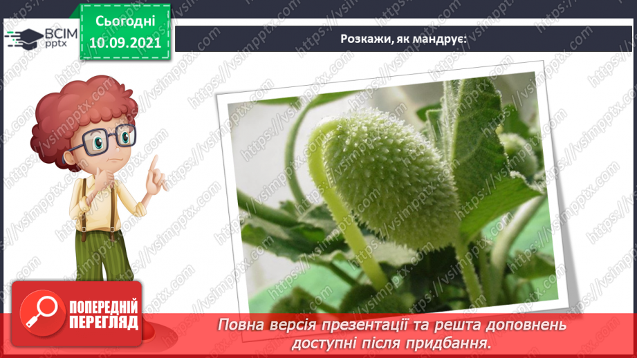 №04 - Створення поробки з природних матеріалів за зразком чи власним задумом.9