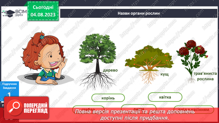 №169-170 - Я досліджую дерева, кущі, трав’янисті рослини.10