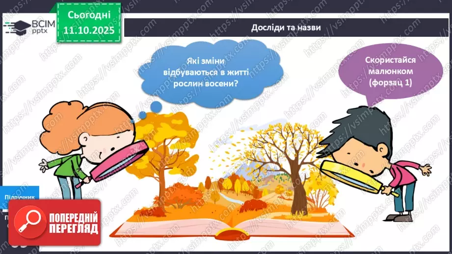 №024 - Рослини восени.8 №024 - Рослини восени.8