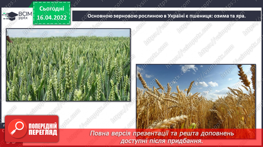 №088 - Рослинництво в рідному краї26