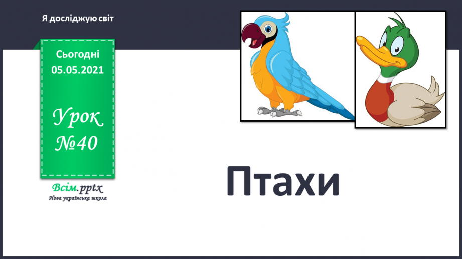 №040 - Птахи.0 №040 - Птахи.0