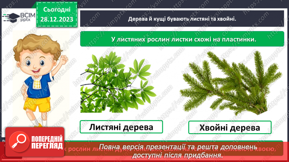 №052 - Які бувають рослини8 №052 - Які бувають рослини8