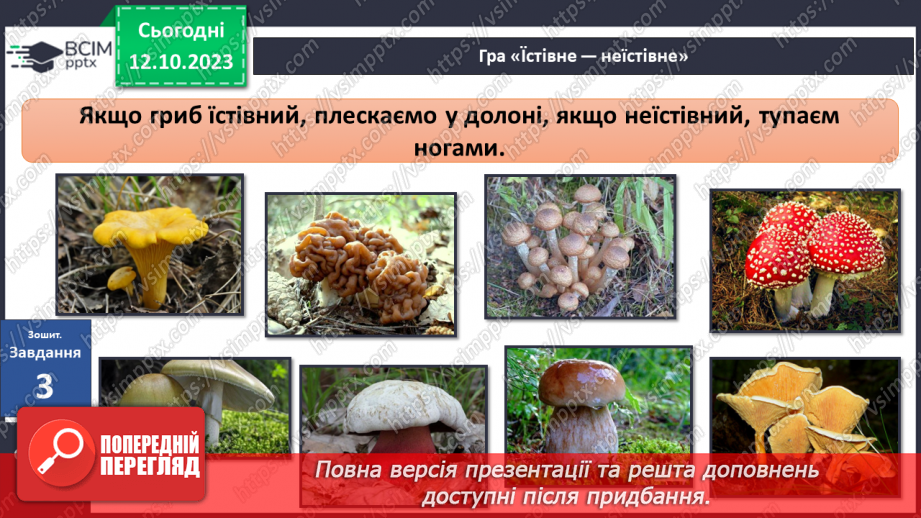 №024 - Осінь - грибна пора28 №024 - Осінь - грибна пора28