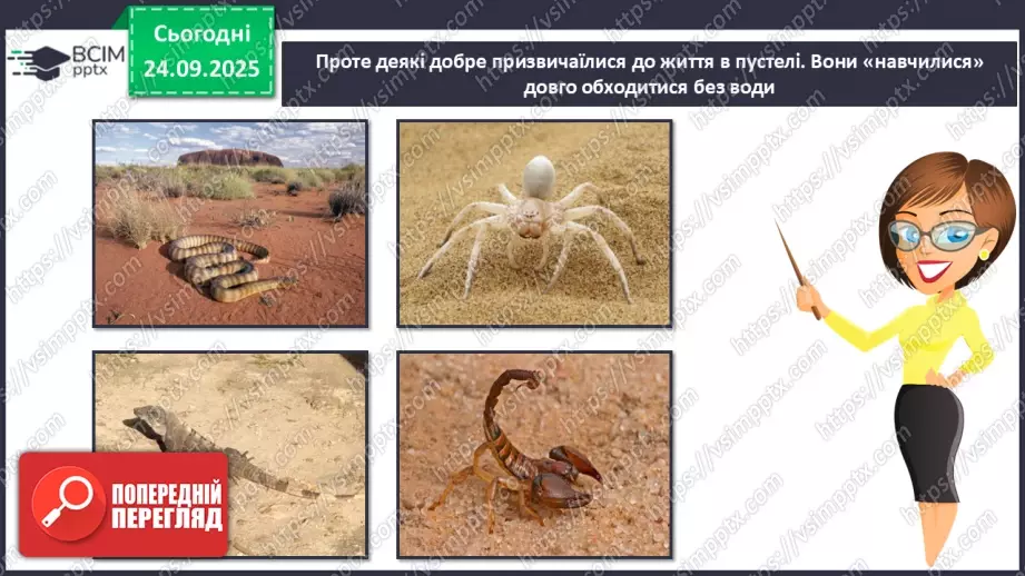 №016 - Рекорди Африки. Пустеля Сахара36 №016 - Рекорди Африки. Пустеля Сахара36