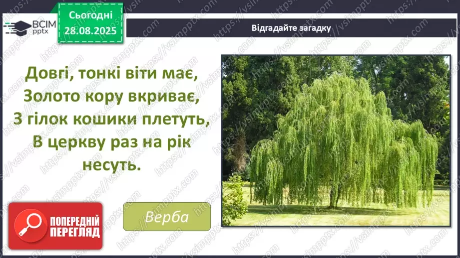 №02 - Основні поняття: графіка, графічні матеріали СМ: В. Мамчич «Кримське дерево»; методичний малюнок дерева пастеллю3 №02 - Основні поняття: графіка, графічні матеріали СМ: В. Мамчич «Кримське дерево»; методичний малюнок дерева пастеллю3