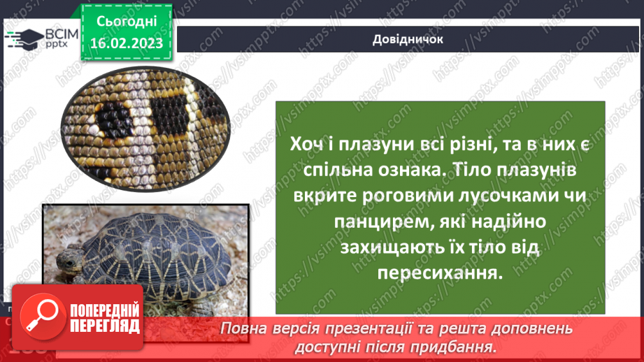 №48 - Хребетні тварини. Будова та спосіб життя хребетних тварин. Практична робота.17