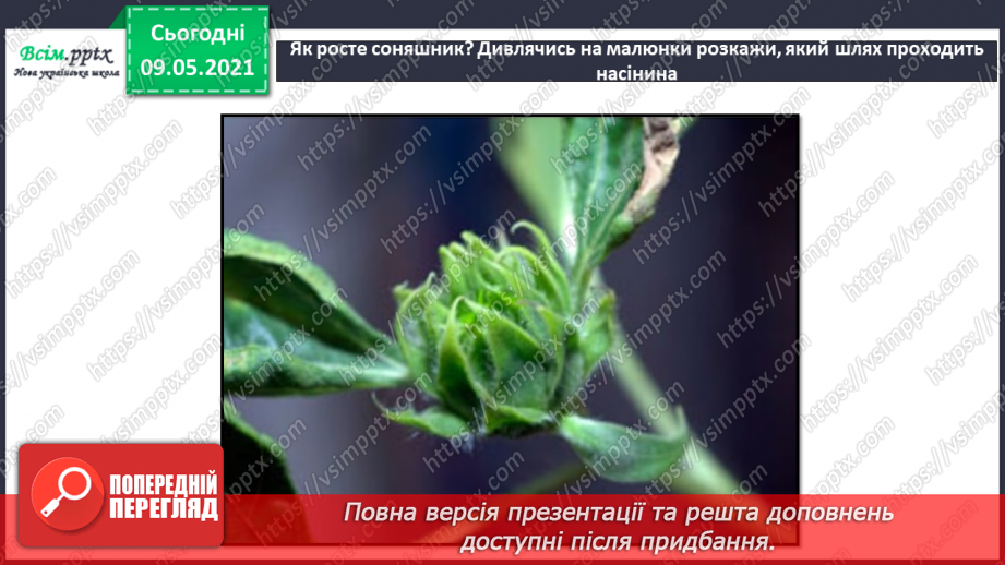 №054 - Як розмножуються рослини?16 №054 - Як розмножуються рослини?16