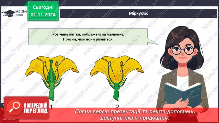 №33 - Квіткові. Квітка і суцвіття. Запилення (продовження).20 №33 - Квіткові. Квітка і суцвіття. Запилення (продовження).20