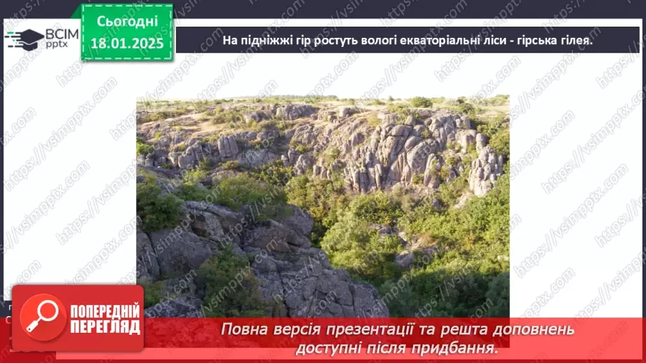 №37 - У чому особливість природних зон Південної Америки.24