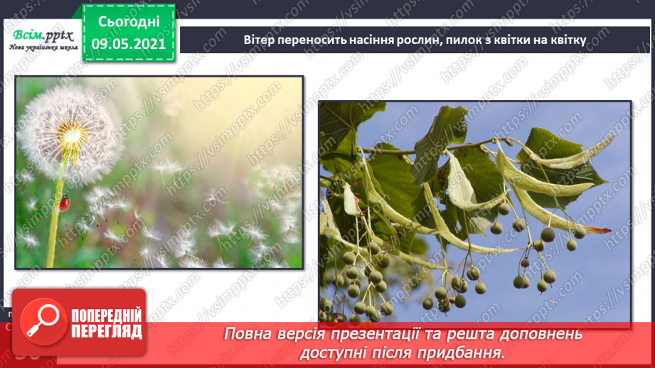 №030 - Як вітер впливає на природу Землі?12