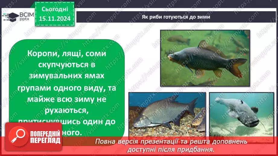 №0035 - Як риби готуються до зими5 №0035 - Як риби готуються до зими5
