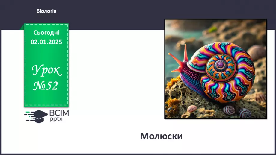 №52 - Молюски.0 №52 - Молюски.0