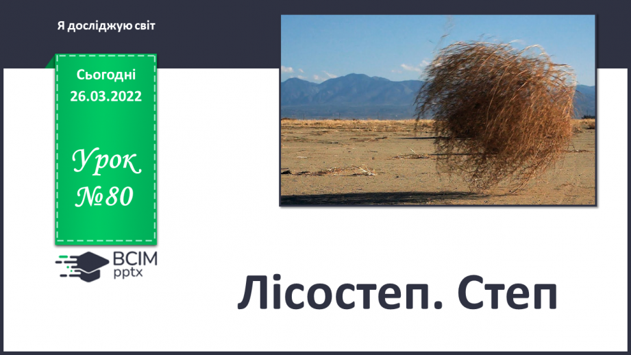 №080 - Лісостеп. Степ0 №080 - Лісостеп. Степ0