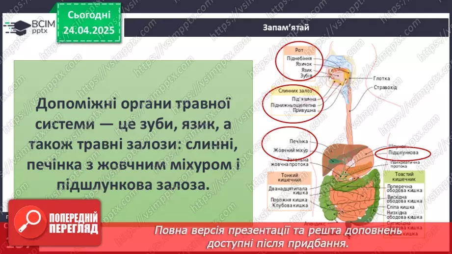№096 - Травна система. Здорове харчування. ст.137-13913