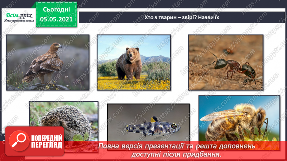 №045-46 - Сторінка моїх досягнень. Я вже знаю та вмію!9