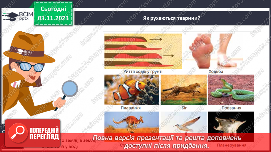 №21 - Чому життя — це рух?11