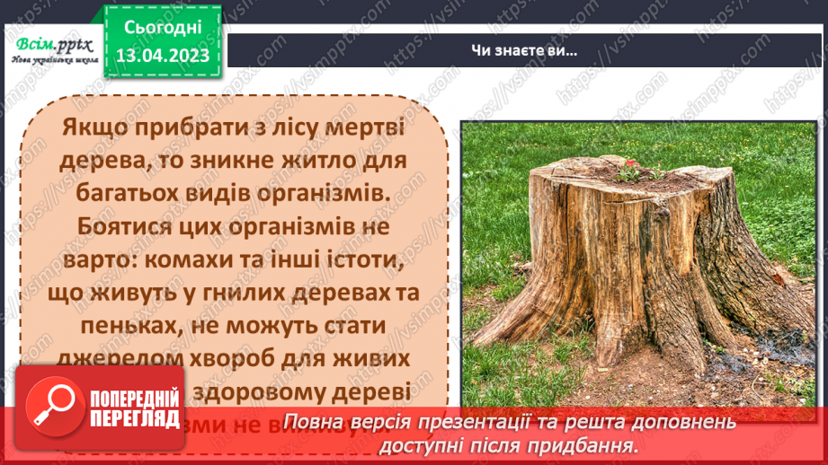 №32 - Створення макета старого пенька і виготовлення його жителів (матеріали за вибором)5 №32 - Створення макета старого пенька і виготовлення його жителів (матеріали за вибором)5