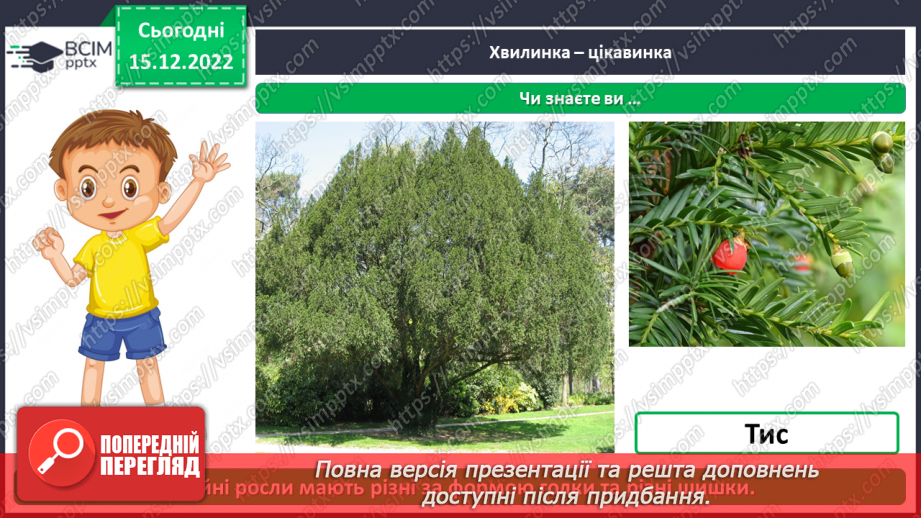 №0052 - Листяні і хвойні рослини15 №0052 - Листяні і хвойні рослини15