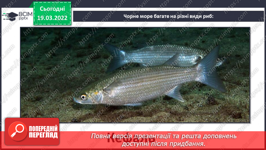 №076 - Водойми України17 №076 - Водойми України17