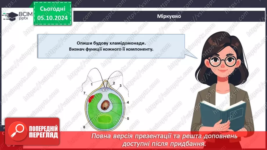 №19 - Зелені та Червоні водорості.23 №19 - Зелені та Червоні водорості.23