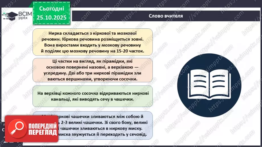 №029 - Будова й функції сечовидільної системи людини. Сечоутворення.7 №029 - Будова й функції сечовидільної системи людини. Сечоутворення.7
