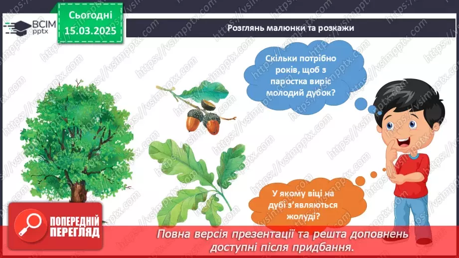 №079 - Царство рослин. Казка про маленького дубка. Як росте дуб15 №079 - Царство рослин. Казка про маленького дубка. Як росте дуб15