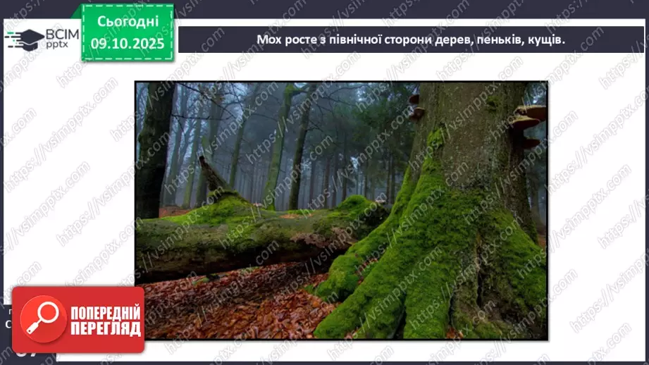 №0023 - Орієнтування на місцевості за допомогою Сонця та місцевих ознак.11 №0023 - Орієнтування на місцевості за допомогою Сонця та місцевих ознак.11