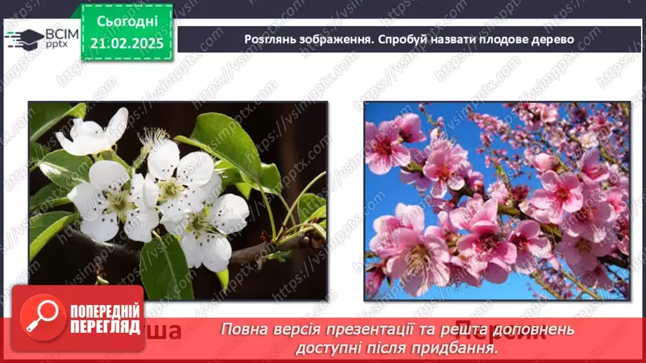 №0071 - Як почуваються рослини навесні16