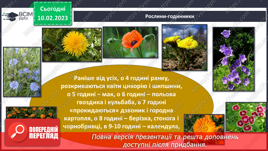 №45 - Пристосування до життя та різноманітність рослин. Секрети насінини.37